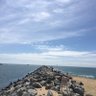 Фото профиля 飘扬海外