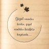 Bedeninden önce çoğu kez ruhu çürür insanın... Z.L 的头像