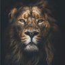 Фото профиля Masterfa