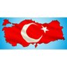 Sedat's profile picture