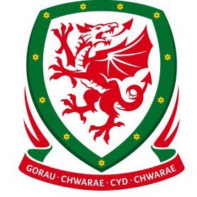 walesawayfans's profile picture