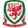 Cymru Away 🏴 ⚽️ profil fotoğrafı