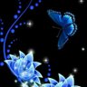 butterflyblue's profile picture