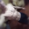 Singlebucaro97's profile picture