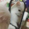 manamaree profil fotoğrafı