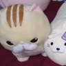 まっちゃん 的头像