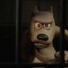 ertunc's profile picture