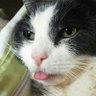 Dori Z. Sahagian's profile picture