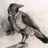 Fancy Crow profil fotoğrafı