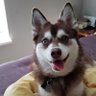 Balraj profil fotoğrafı