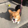 Profilbild von ままるんるん