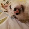 Leesa profil fotoğrafı