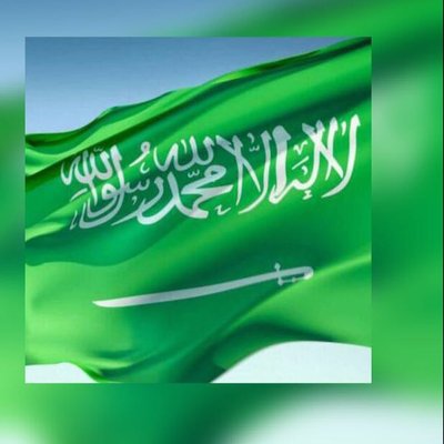 bin_modayan's profile picture