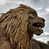 alerion 🇨🇵🇮🇱 🎗️🌿's profile picture