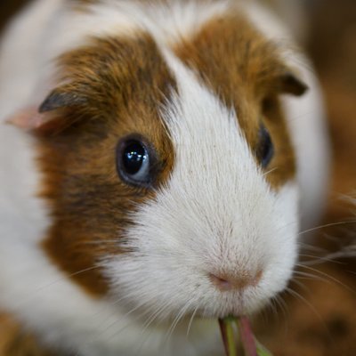 mocos164's profile picture