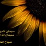 داعج العين 的头像