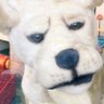 Profilbild von ako