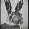 Jenny O’Rourke's profile picture