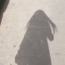 ARISara's profile picture