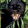 elbi cortez funes's profile picture