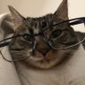 Erthunder profil fotoğrafı