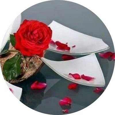 1_gooogooo's profile picture