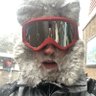 Profilbild von Colin Brown
