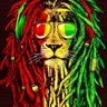 Dope Lion 的头像