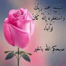 ابواحمد 的头像