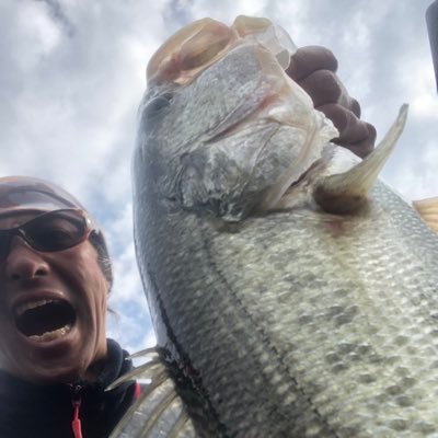 buchou_osgs's profile picture