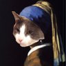 Фото профиля Bruce Meowington