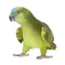 Anasten27's profile picture
