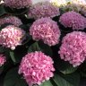 Фото профиля れい