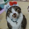 Profilbild von 💖 皆様今日も おいで ヤス💖