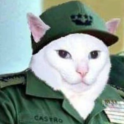 yisus young boi's profile picture