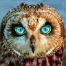 Фото профиля Cryptic Owl