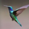 Birdie 的头像