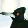 のどか profil fotoğrafı
