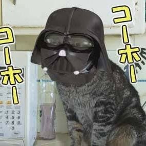 mymightycat1's profile picture