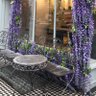 Um Musabeh's profile picture