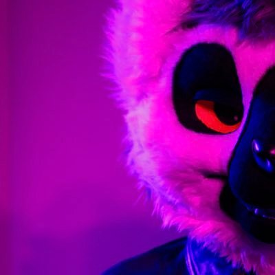 MellowLemur's profile picture