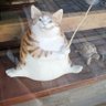 Profilbild von タカシモンブラン