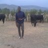 Tanyasis Mwanik's profile picture
