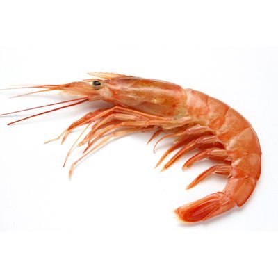 pyuuu's profile picture