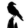 blackbird 🐦⬛🇺🇸 的头像
