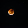 Profilbild von blood moon🌙