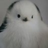 いよ profil fotoğrafı