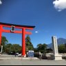 どらっち's profile picture