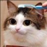 YEAFCHINA's profile picture