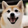 よし profil fotoğrafı